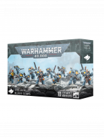 W40k: Space Wolves - Blood Claws (10 Figuren)