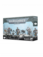 W40k: Space Wolves - Wolf Guard Headtakers (6 Figuren)