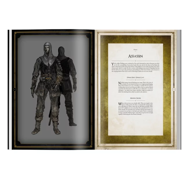 Buch Dark Souls: Das Rollenspiel ( RPG)