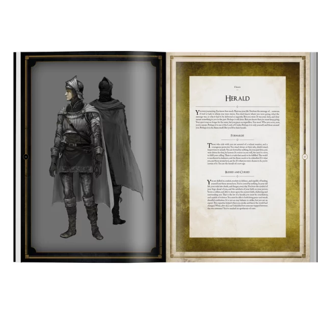 Buch Dark Souls: Das Rollenspiel ( RPG)