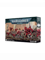 W40k: Battleforce: T'au Empire - Farsight Cadre (16 Figuren)