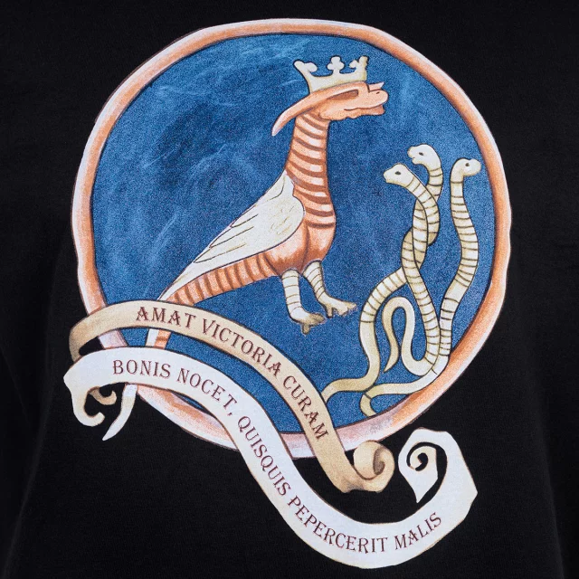 T-Shirt Kingdom Come: Deliverance - Drachenmalerei