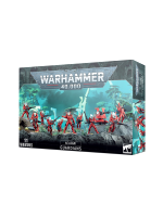 W40k: Aeldari - Guardians (11 Figuren)