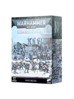 W40k: Space Wolves - Combat Patrol (17 Figuren)