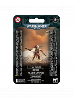 W40k: Tau Empire - Kroot Flesh Shaper