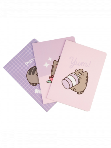 Notizbuch Pusheen - Pusheen Moments (3 Stück)