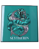 Bild Harry Potter - Slytherin Crystal Clear Art Pictures (Nemesis Jetzt)